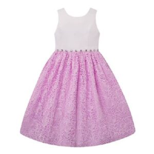 American Princess Lace Skirt Embellished Dress