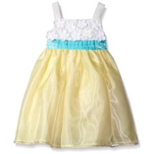 Rare Editions Girls Lace Top Organza Skirt Dress